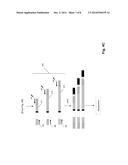 SEQUENCE-BASED MEASURES OF IMMUNE RESPONSE diagram and image