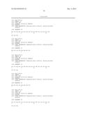 HUMAN GROWTH HORMONE RECEPTOR ANTAGONIST ANTIBODIES AND METHODS OF USE     THEREOF diagram and image