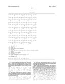 HUMAN GROWTH HORMONE RECEPTOR ANTAGONIST ANTIBODIES AND METHODS OF USE     THEREOF diagram and image