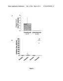 METHOD FOR INDUCING IMMUNE TOLERANCE THROUGH TARGETTED GENE EXPRESSION diagram and image