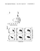 METHOD FOR INDUCING IMMUNE TOLERANCE THROUGH TARGETTED GENE EXPRESSION diagram and image