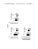 METHOD FOR INDUCING IMMUNE TOLERANCE THROUGH TARGETTED GENE EXPRESSION diagram and image