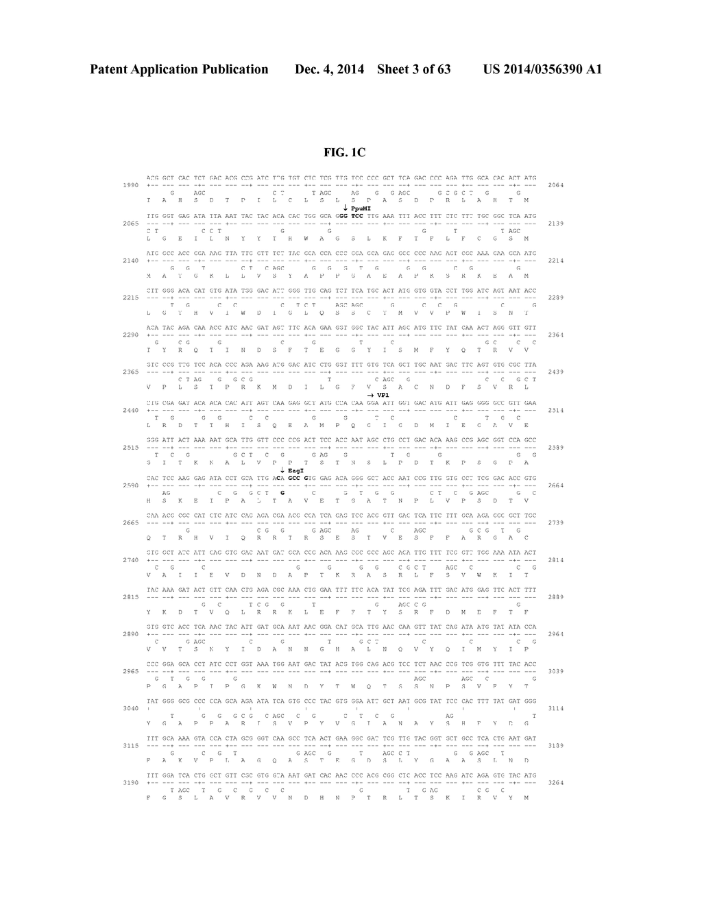 MODULATION OF REPLICATIVE FITNESS BY DEOPTIMIZATION OF SYNONYMOUS CODONS - diagram, schematic, and image 04