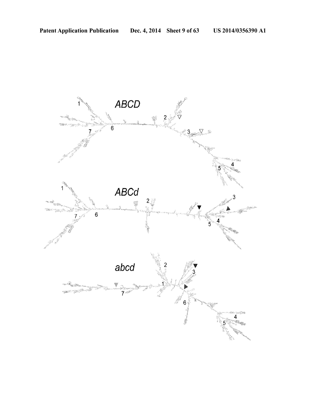 MODULATION OF REPLICATIVE FITNESS BY DEOPTIMIZATION OF SYNONYMOUS CODONS - diagram, schematic, and image 10