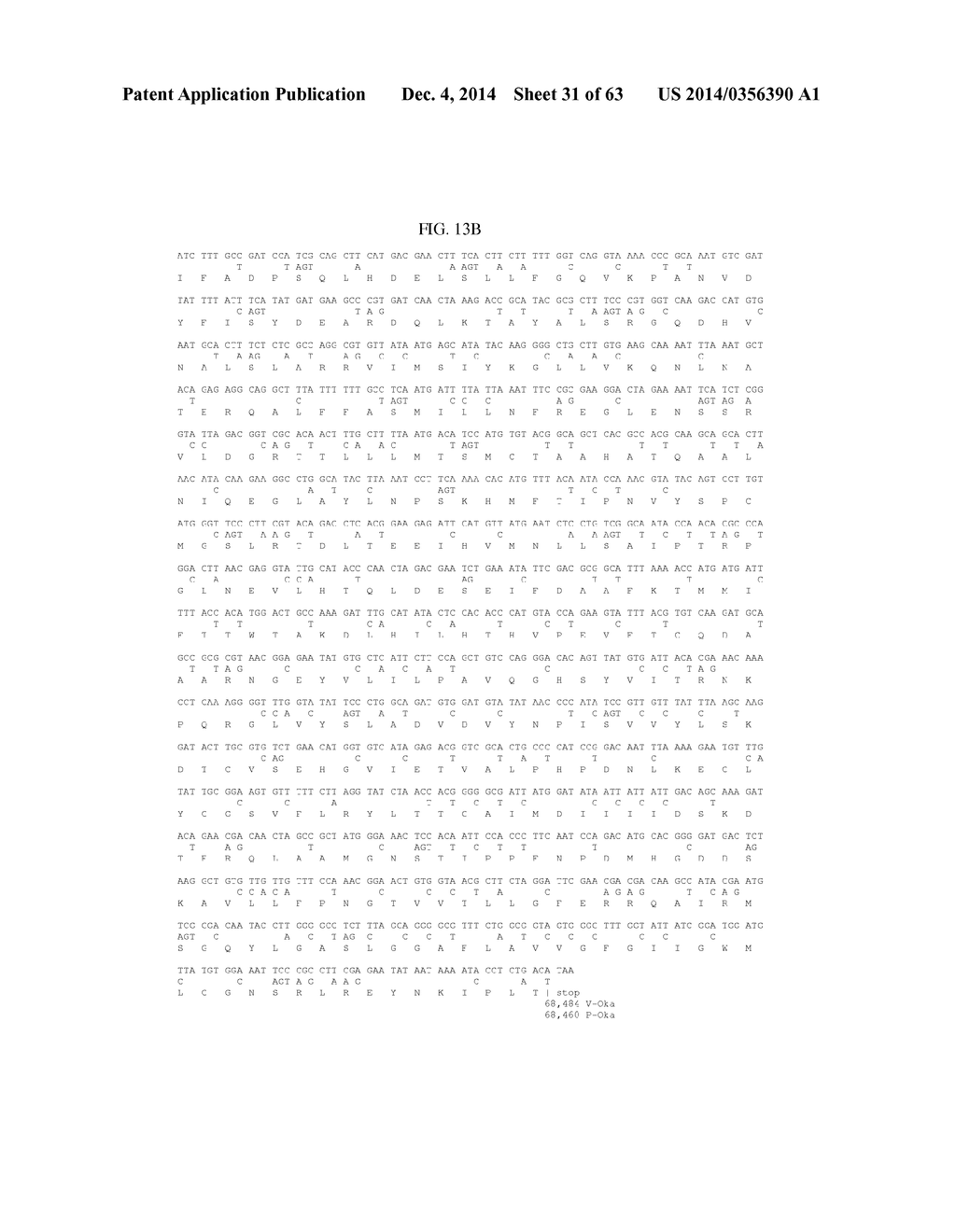 MODULATION OF REPLICATIVE FITNESS BY DEOPTIMIZATION OF SYNONYMOUS CODONS - diagram, schematic, and image 32