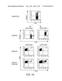 ADOPTIVE TRANSFER OF CD8+ T CELL CLONES DERIVED FROM CENTRAL MEMORY CELLS diagram and image