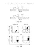 ADOPTIVE TRANSFER OF CD8+ T CELL CLONES DERIVED FROM CENTRAL MEMORY CELLS diagram and image