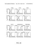 ADOPTIVE TRANSFER OF CD8+ T CELL CLONES DERIVED FROM CENTRAL MEMORY CELLS diagram and image