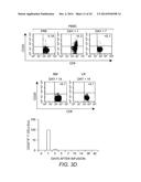 ADOPTIVE TRANSFER OF CD8+ T CELL CLONES DERIVED FROM CENTRAL MEMORY CELLS diagram and image