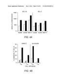 ADOPTIVE TRANSFER OF CD8+ T CELL CLONES DERIVED FROM CENTRAL MEMORY CELLS diagram and image