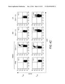 ADOPTIVE TRANSFER OF CD8+ T CELL CLONES DERIVED FROM CENTRAL MEMORY CELLS diagram and image