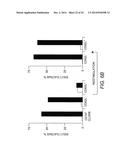 ADOPTIVE TRANSFER OF CD8+ T CELL CLONES DERIVED FROM CENTRAL MEMORY CELLS diagram and image