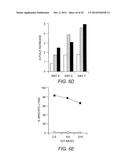 ADOPTIVE TRANSFER OF CD8+ T CELL CLONES DERIVED FROM CENTRAL MEMORY CELLS diagram and image