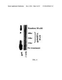 RETINOID-LIPOSOMES FOR TREATING FIBROSIS diagram and image