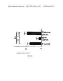 RETINOID-LIPOSOMES FOR TREATING FIBROSIS diagram and image