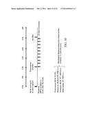 RETINOID-LIPOSOMES FOR TREATING FIBROSIS diagram and image