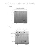 FUSION OF BIOACTIVE MOLECULES diagram and image