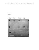 FUSION OF BIOACTIVE MOLECULES diagram and image