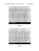 SPIN-ON CARBON COMPOSITIONS FOR LITHOGRAPHIC PROCESSING diagram and image