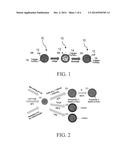 ENCAPSULATED Li2S NANOPARTICLES FOR Li/S BATTERIES WITH ULTRAHIGH ENERGY     DENSITIES AND LONG CYCLE LIFE diagram and image