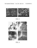 ENCAPSULATED Li2S NANOPARTICLES FOR Li/S BATTERIES WITH ULTRAHIGH ENERGY     DENSITIES AND LONG CYCLE LIFE diagram and image