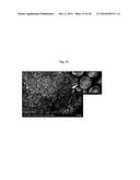 CATHODE ACTIVE MATERIAL WITH WHOLE PARTICLE CONCENTRATION GRADIENT FOR     LITHIUM SECONDARY BATTERY, METHOD FOR PREPARING THE SAME, AND LITHIUM     SECONDARY BATTERY HAVING THE SAME diagram and image