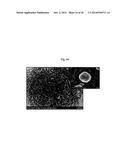 CATHODE ACTIVE MATERIAL WITH WHOLE PARTICLE CONCENTRATION GRADIENT FOR     LITHIUM SECONDARY BATTERY, METHOD FOR PREPARING THE SAME, AND LITHIUM     SECONDARY BATTERY HAVING THE SAME diagram and image