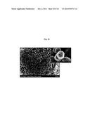 CATHODE ACTIVE MATERIAL WITH WHOLE PARTICLE CONCENTRATION GRADIENT FOR     LITHIUM SECONDARY BATTERY, METHOD FOR PREPARING THE SAME, AND LITHIUM     SECONDARY BATTERY HAVING THE SAME diagram and image