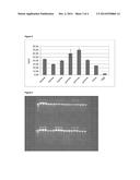 METHOD FOR ISOLATING NUCLEIC ACIDS FROM A VETERINARY WHOLE BLOOD SAMPLE diagram and image