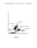 HEMATOLOGICAL ANALYZER, METHOD FOR ANALYZING BODY FLUID AND COMPUTER     PROGRAM PRODUCT diagram and image