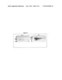 Mammalian Cell Culture System for Large-Scale Expression of Recombinant     Proteins diagram and image