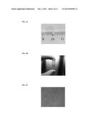 METHODS AND PRODUCTS FOR TRANSFECTING CELLS diagram and image