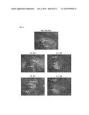 METHODS AND PRODUCTS FOR TRANSFECTING CELLS diagram and image