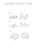 METHODS AND PRODUCTS FOR TRANSFECTING CELLS diagram and image