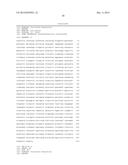 Engineering Microorganisms to Increase Ethanol Production by Metabolic     Redirection diagram and image