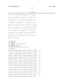 Engineering Microorganisms to Increase Ethanol Production by Metabolic     Redirection diagram and image