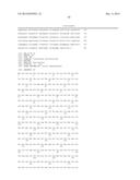 Engineering Microorganisms to Increase Ethanol Production by Metabolic     Redirection diagram and image