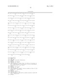 Engineering Microorganisms to Increase Ethanol Production by Metabolic     Redirection diagram and image