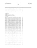 Engineering Microorganisms to Increase Ethanol Production by Metabolic     Redirection diagram and image