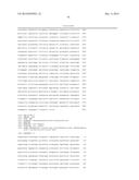 Engineering Microorganisms to Increase Ethanol Production by Metabolic     Redirection diagram and image