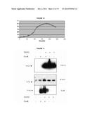 Reprogrammation of Eukaryotic Cells with Engineered Microvesicles diagram and image