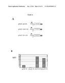 Reprogrammation of Eukaryotic Cells with Engineered Microvesicles diagram and image