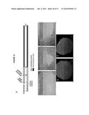 Reprogrammation of Eukaryotic Cells with Engineered Microvesicles diagram and image