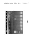 SINGLE CELL BAR-CODING FOR ANTIBODY DISCOVERY diagram and image