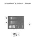 SINGLE CELL BAR-CODING FOR ANTIBODY DISCOVERY diagram and image