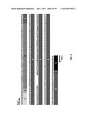 SINGLE CELL BAR-CODING FOR ANTIBODY DISCOVERY diagram and image