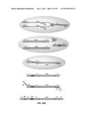 SINGLE CELL BAR-CODING FOR ANTIBODY DISCOVERY diagram and image