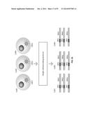 SINGLE CELL BAR-CODING FOR ANTIBODY DISCOVERY diagram and image