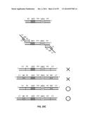 SINGLE CELL BAR-CODING FOR ANTIBODY DISCOVERY diagram and image