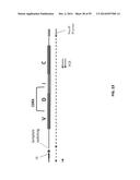 SINGLE CELL BAR-CODING FOR ANTIBODY DISCOVERY diagram and image